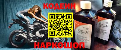 jwh Кингисепп
